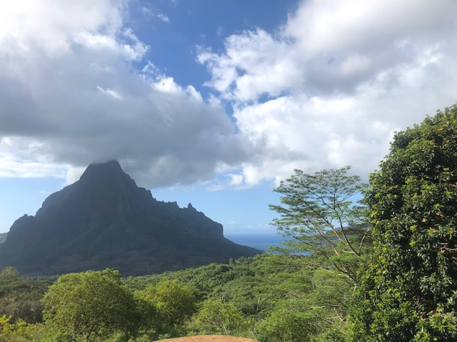 Mt Rotui, and Opunohu Bay, Island of Mo'orea, French Polynesia We consult with Nature on which projects to accept